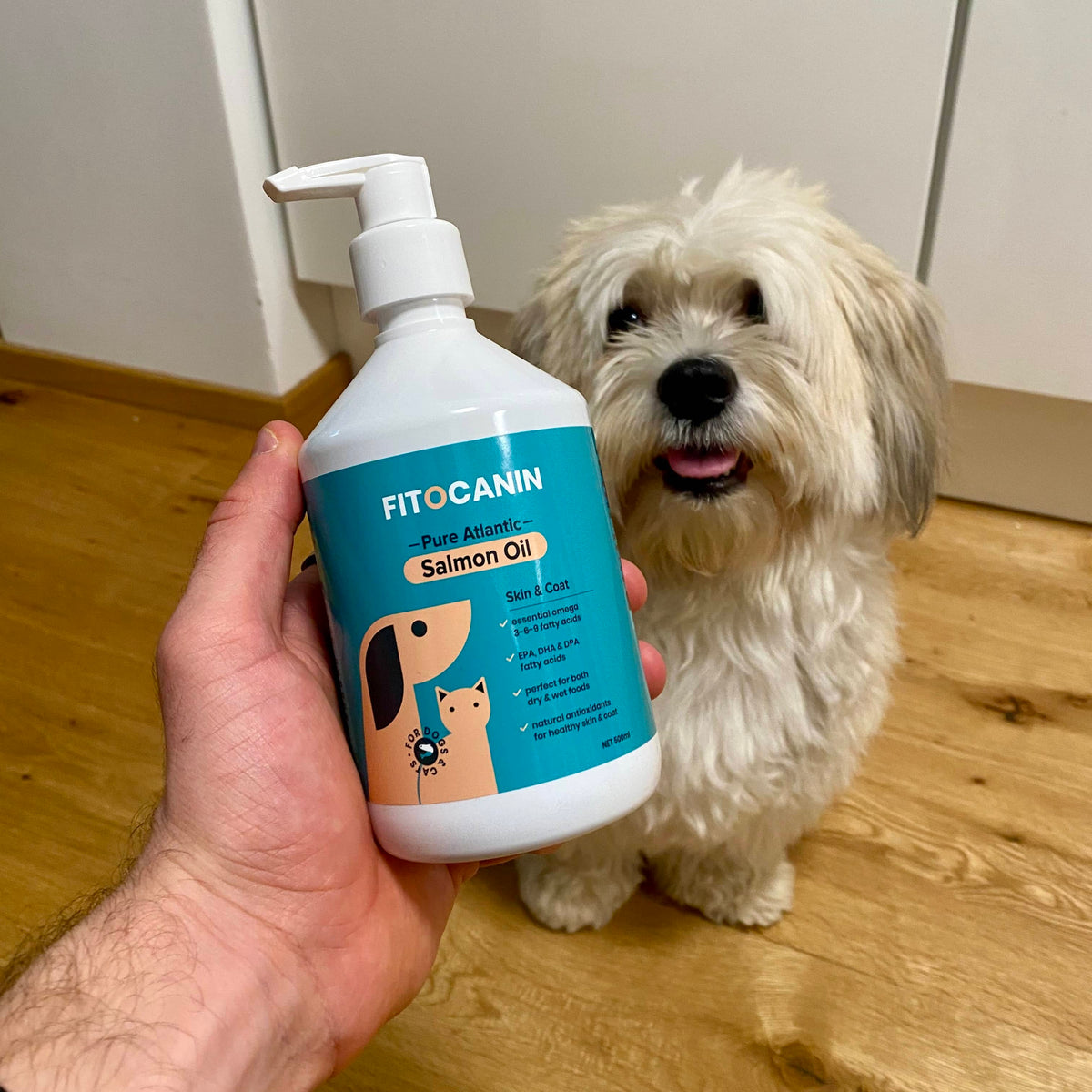 Salmon oil 🎁