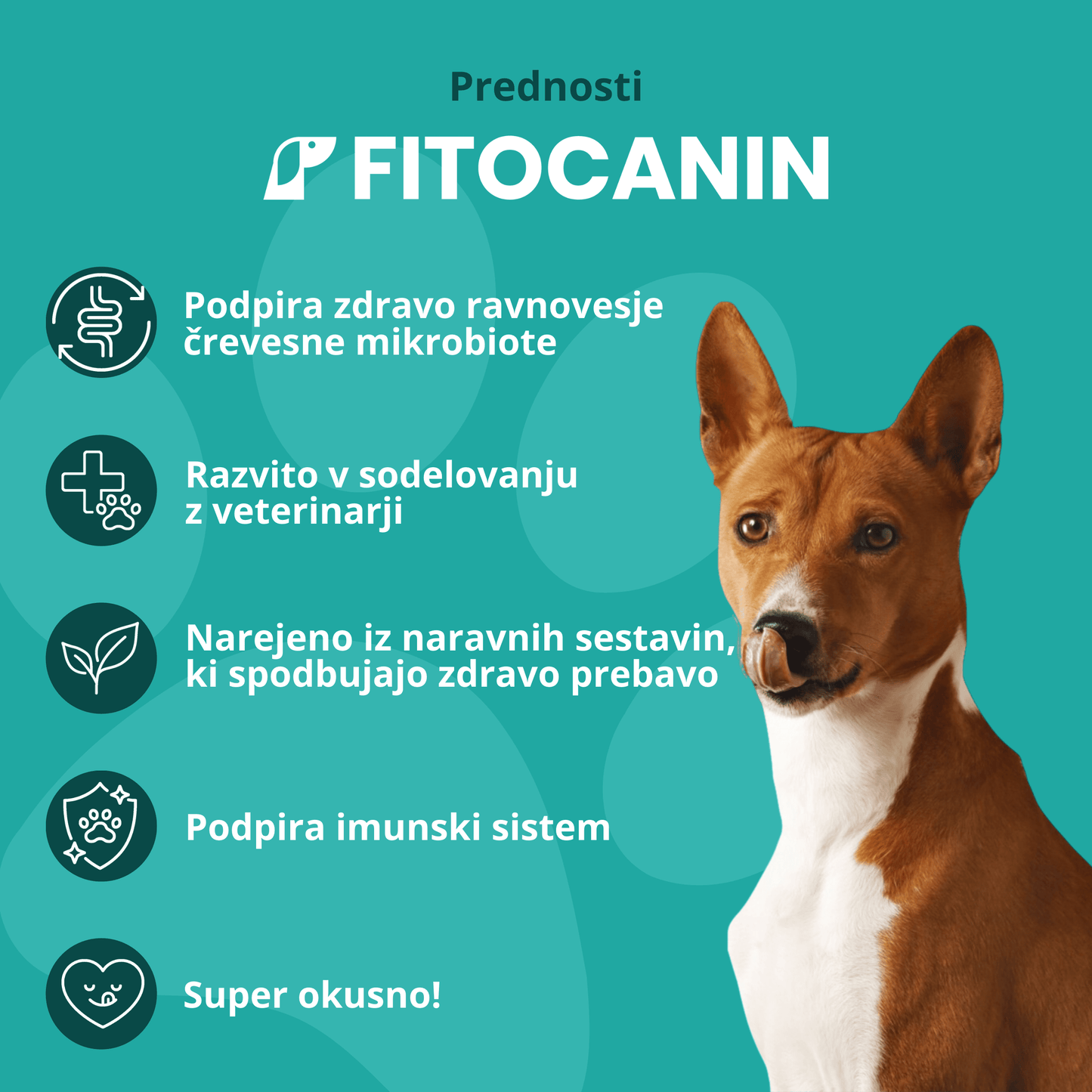 Biome Forte Probiotiki