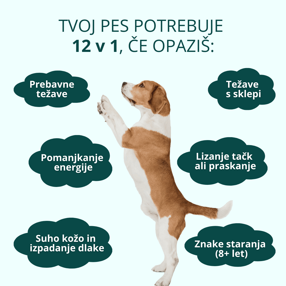 Holistic Forte