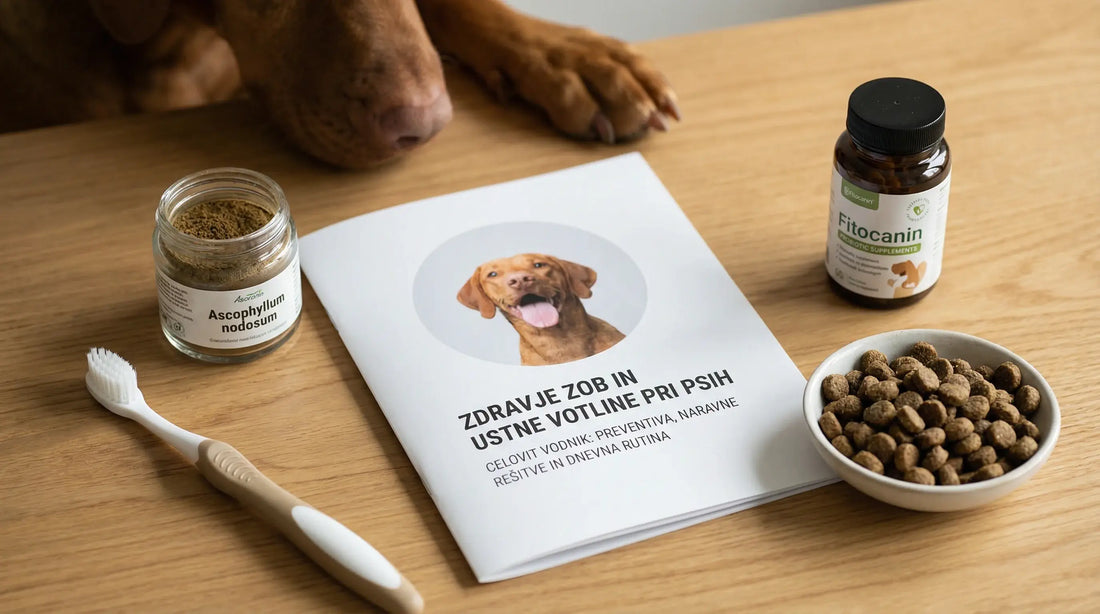 Zdravje zob in ustne votline pri psih: celovit vodnik za preprečevanje oblog, slabega zadaha in vnetij