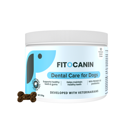 Dental Forte