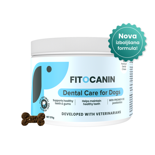 Dental Forte