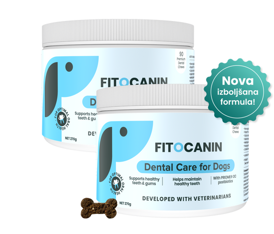2x Dental Forte