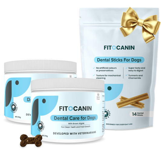 Dental Forte + darilo