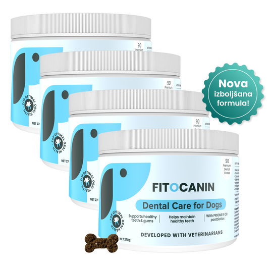 4x Dental Forte