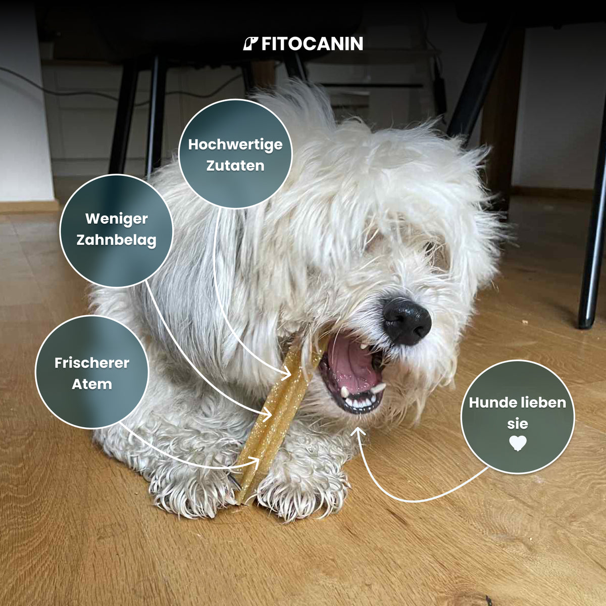 Dental Sticks
