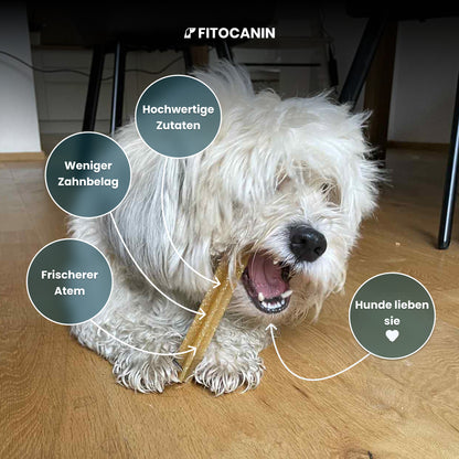 Dental Sticks