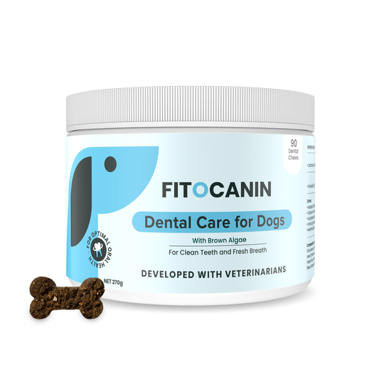 Dental Forte