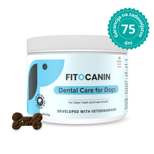 Dental Forte