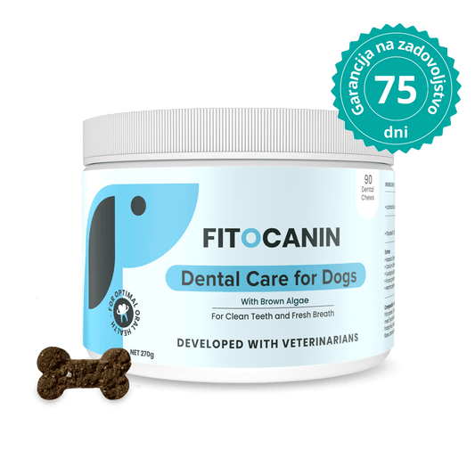Dental Forte