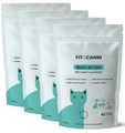 4x Feline Biome Forte
