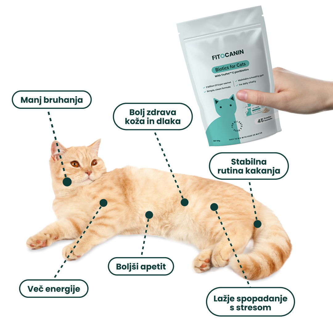 Feline Biome Forte