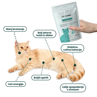 Feline Biome Forte