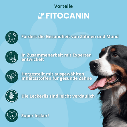 Dental Forte