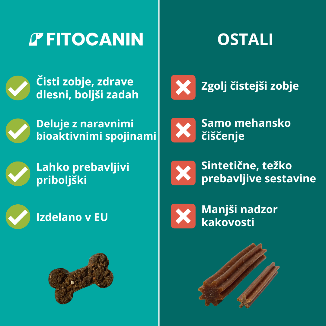 Dental Forte