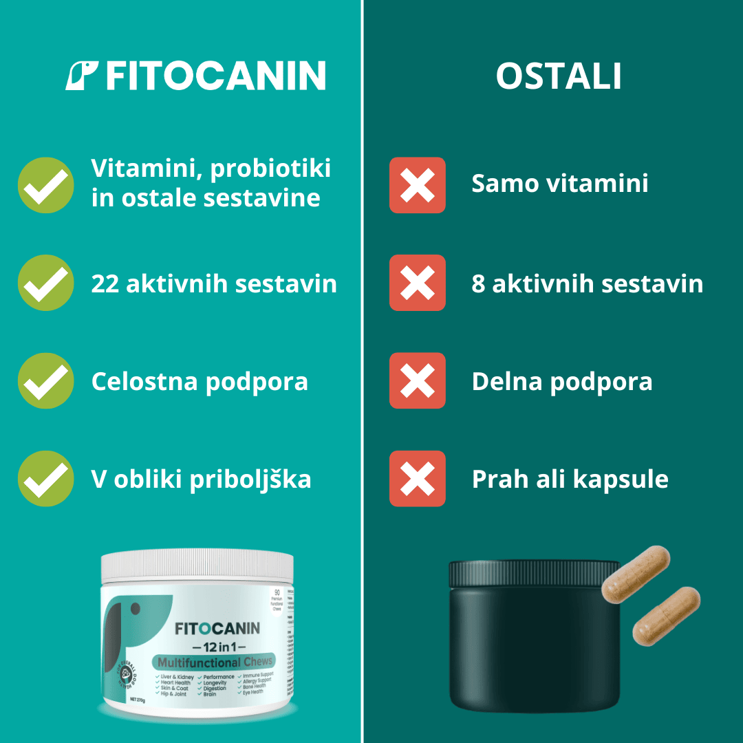 Holistic Forte
