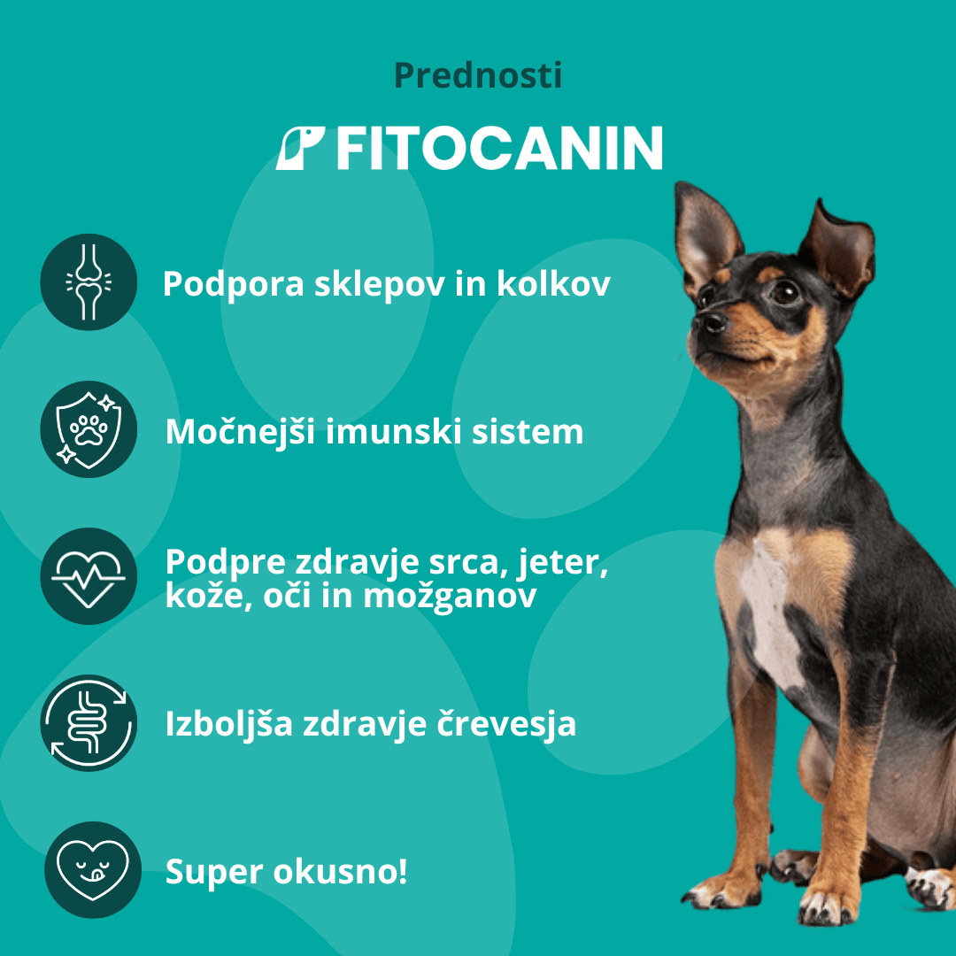 Holistic Forte