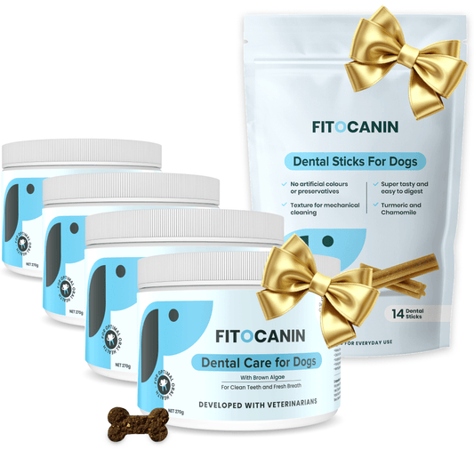 Dental Forte 3+1